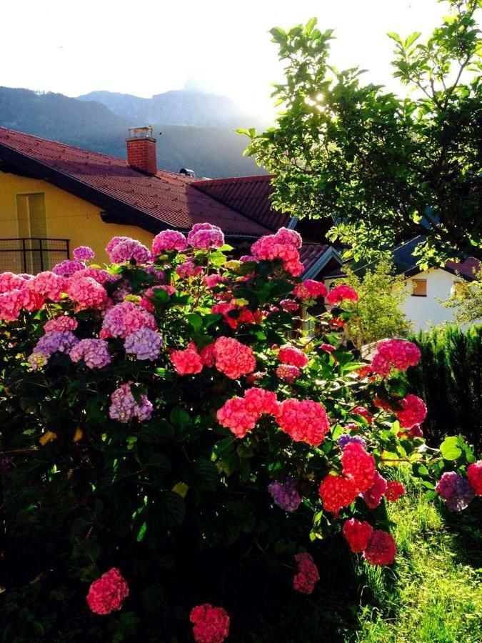 Cosy Cottage With Views Near Kobarid Exterior foto